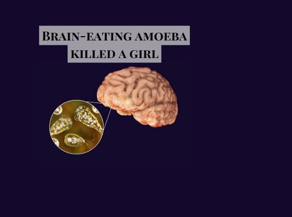Brain eating amoeba eating the brain