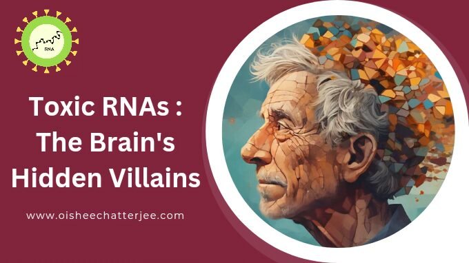 Toxic RNAs & Alzheimer's