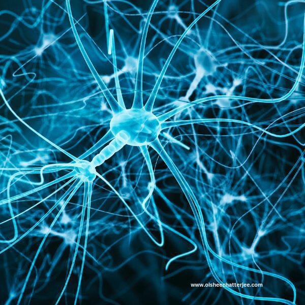 Neuron System