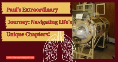 The image shows the topic of the blog, that is about iron lung