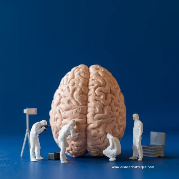 Human brain miniature- being studied by scientists