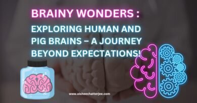 The image explains the topic of the blog which is about the wonders of human brain