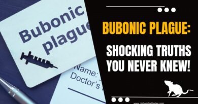 The image explains the topic of the blog , which is about bubonic plague