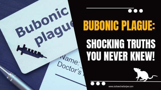 The image explains the topic of the blog , which is about bubonic plague