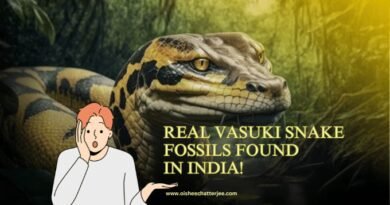 Vasuki snake animated and present on the thumbnail, shows the topic of the blog is about the Vasuki Snake.