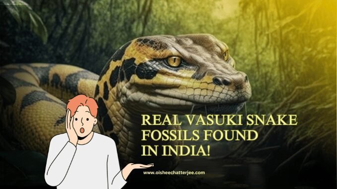 Vasuki snake animated and present on the thumbnail, shows the topic of the blog is about the Vasuki Snake.